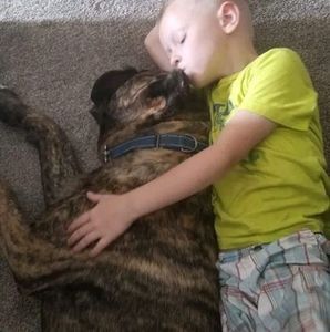 Meet your Posher, Evan